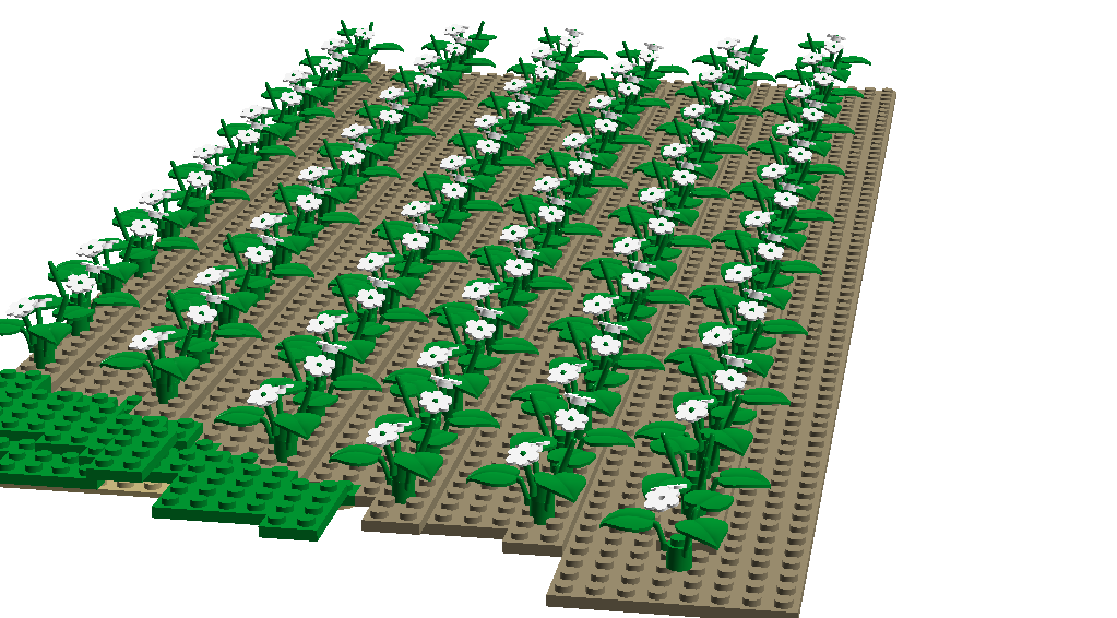 makieta2.png