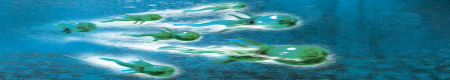 squid_banner.png