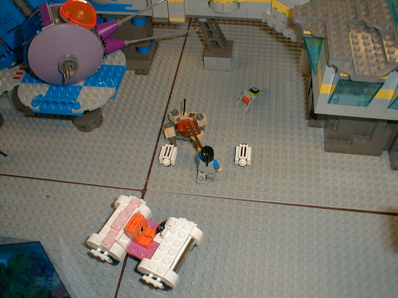 medieval24_attack_sheep01.jpg