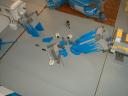 medieval29_attack_sheep06_good_sheep.jpg