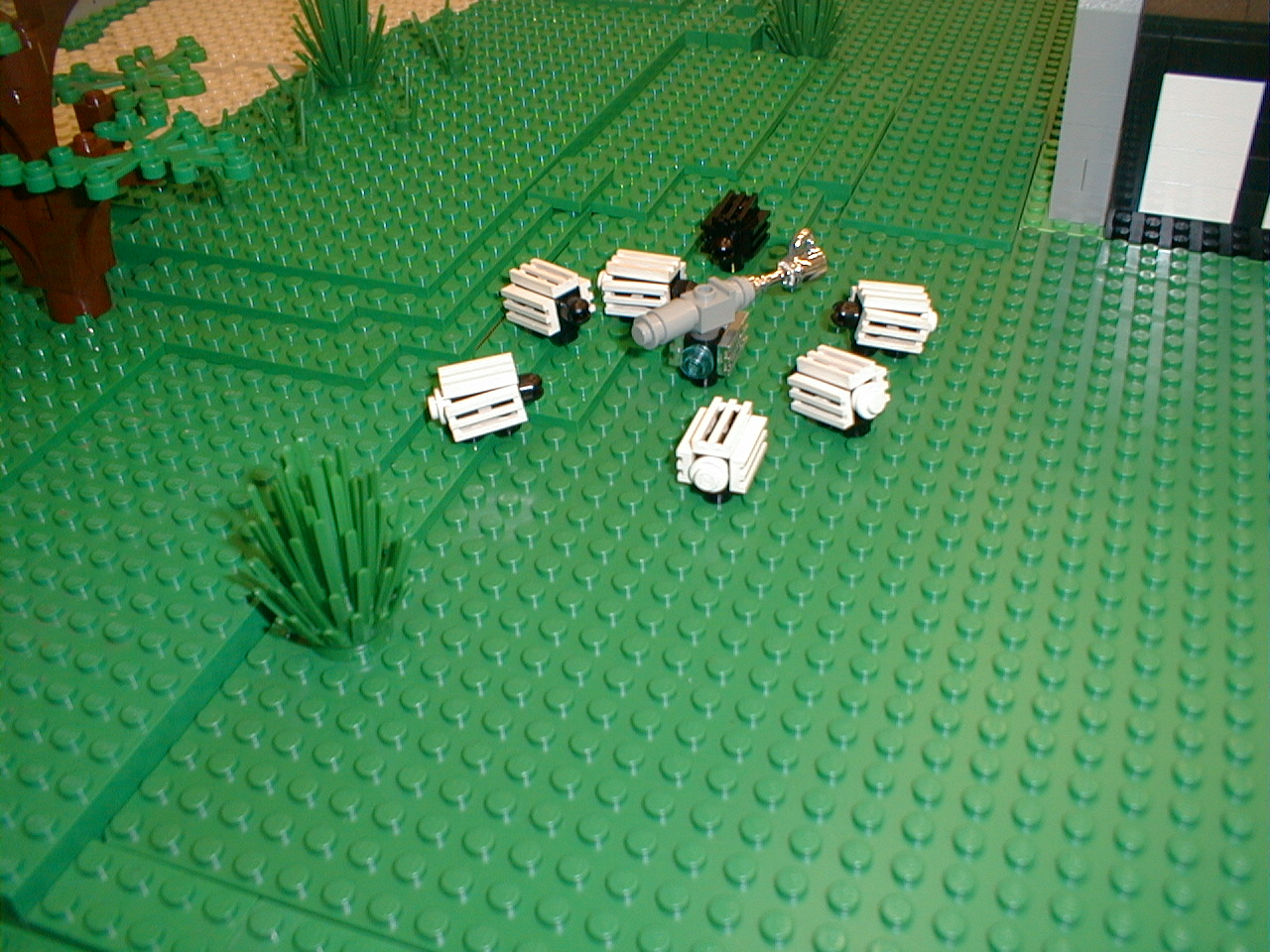 10_robo_sheep.jpg