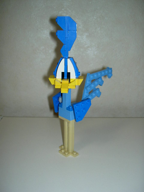 roadrunner_0.jpg