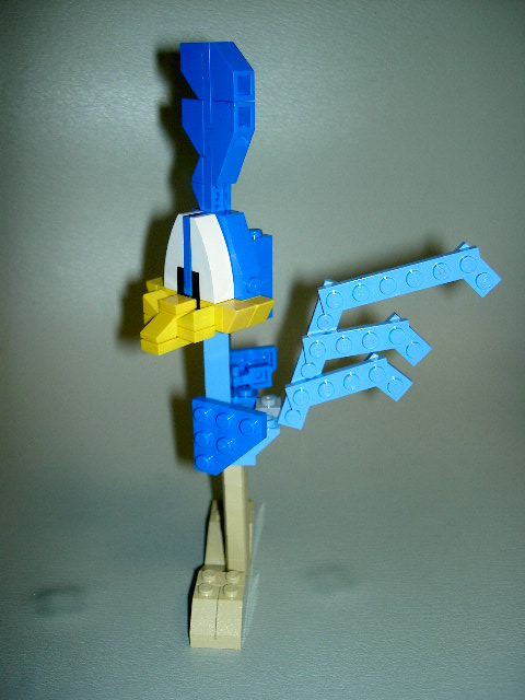 roadrunner_8.jpg