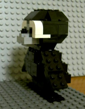 seal_1.jpg
