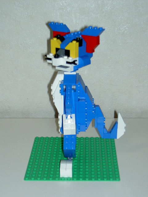 tomcat_9.jpg