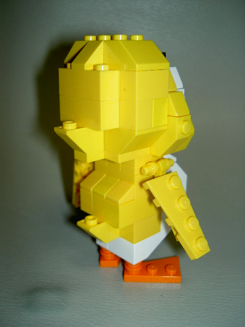 duck2_3.jpg