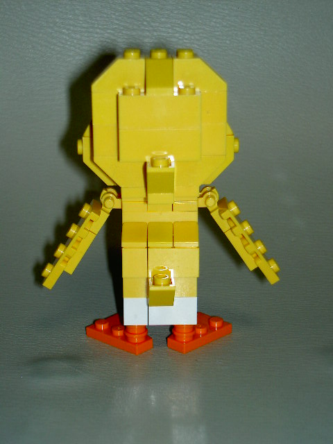 duck2_4.jpg