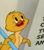 duck_picture.jpg