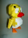 duck2_2.jpg