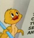 duck_picture.jpg