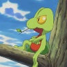 ep342_treecko.jpg
