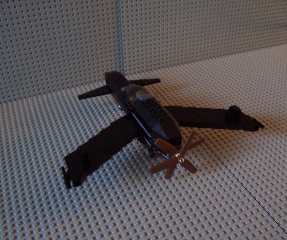 100_1095.jpg