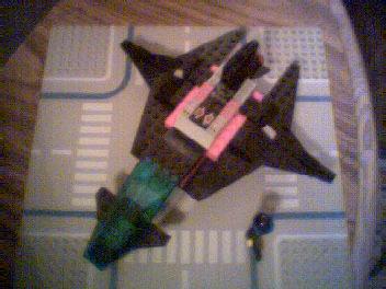 buzzard_3.jpg
