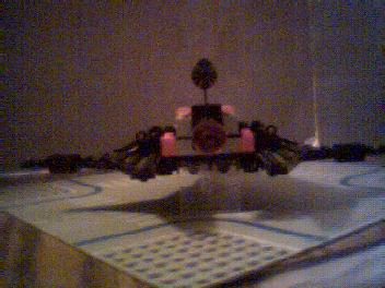 buzzard_4.jpg