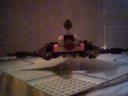 buzzard_4.jpg