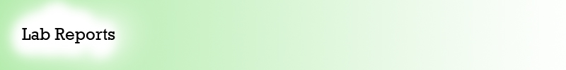test.jpg