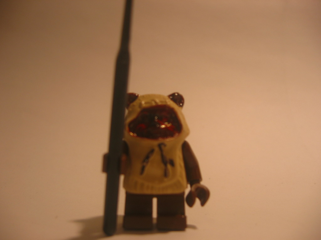 ewok.jpg