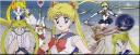 sailor_moon_banner.jpg