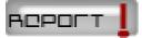p_report.gif