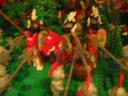 forest4.jpg