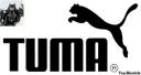puma-tuma.jpg