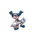 mr._riolu_sprite.png