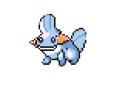mudkip_devamp.png