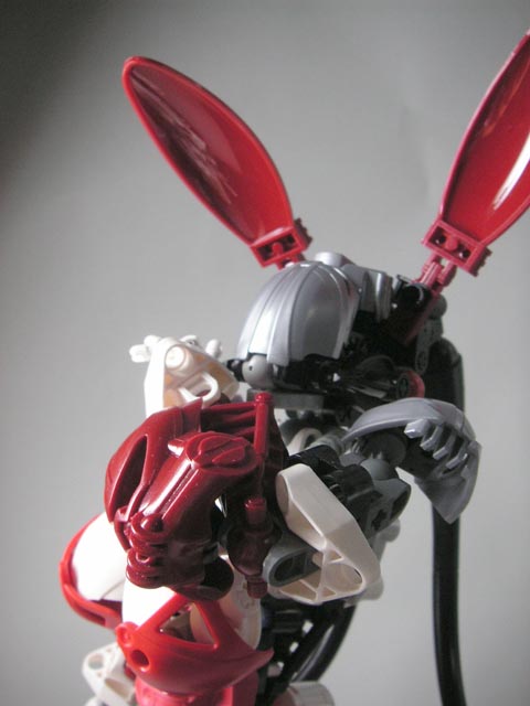 bunny11_closeup.jpg