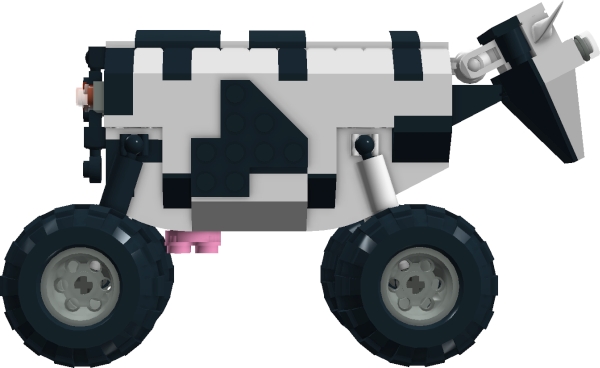 cow3.jpg
