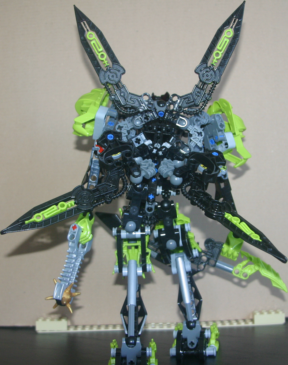 03_tuma_back_wings_open.png