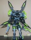 03_tuma_back_wings_open.png