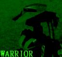 Warrior