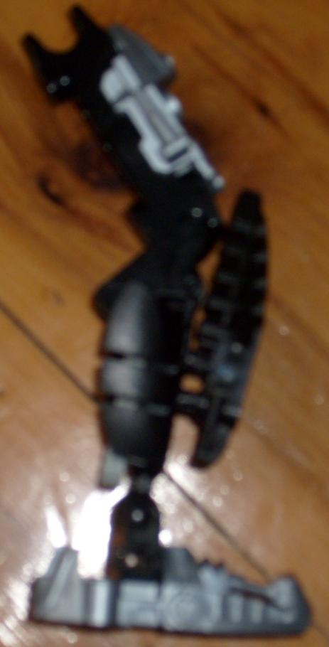 leg1.jpg