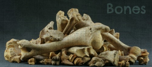 bones.jpg