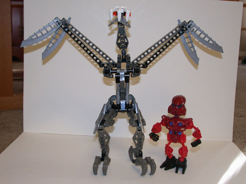both04.jpg