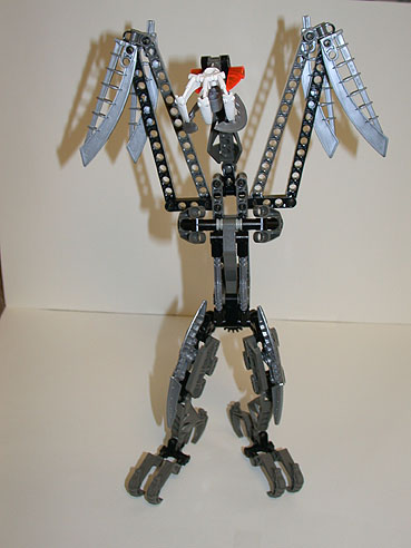 nivawk01.jpg
