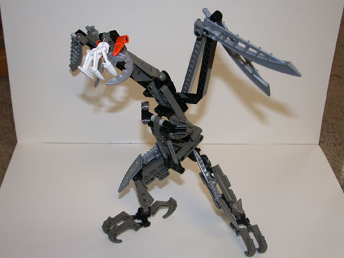 nivawk02.jpg