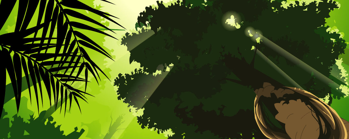 forest05.jpg