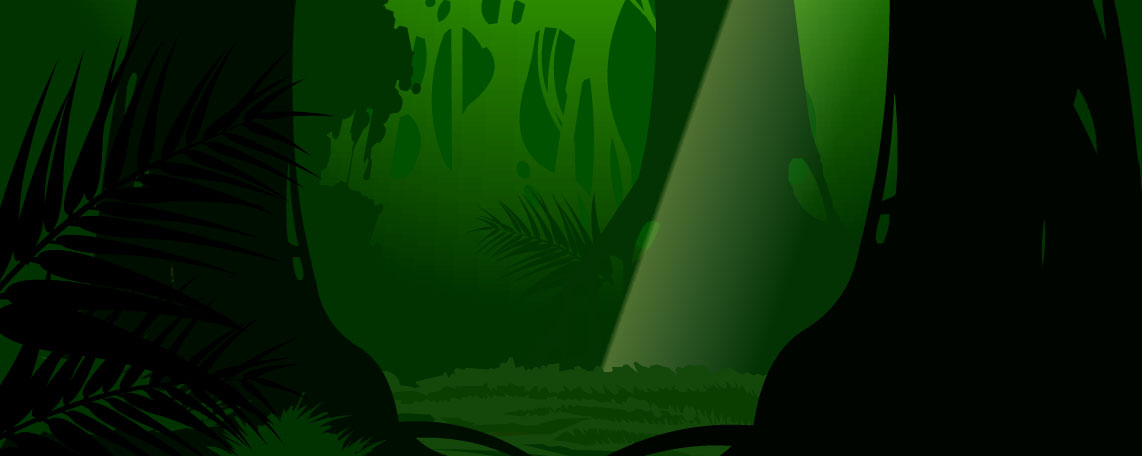 forest06.jpg