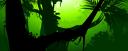 forest02.jpg
