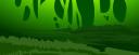 forest07.jpg