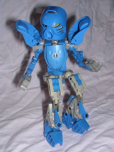 kaiapu03.jpg