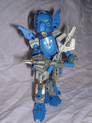 kaiapu05.jpg