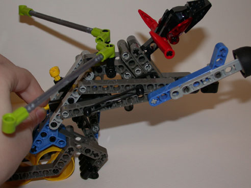 rahi-nui3.jpg