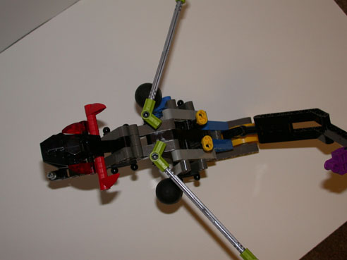 rahi-nui5.jpg