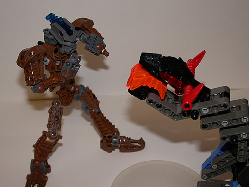 rahi-nui7.jpg