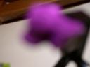 rahi-nui9.jpg