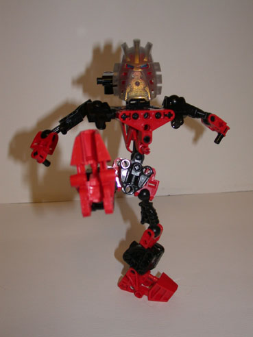 rayg11.jpg