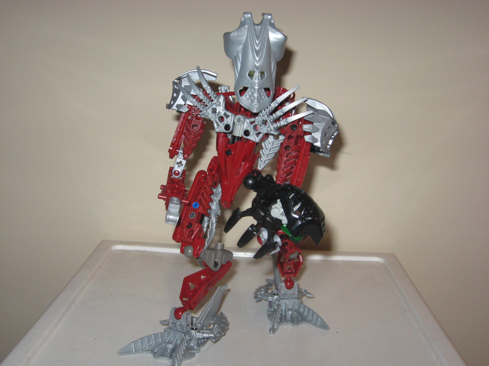 self_moc_toa_005.jpg