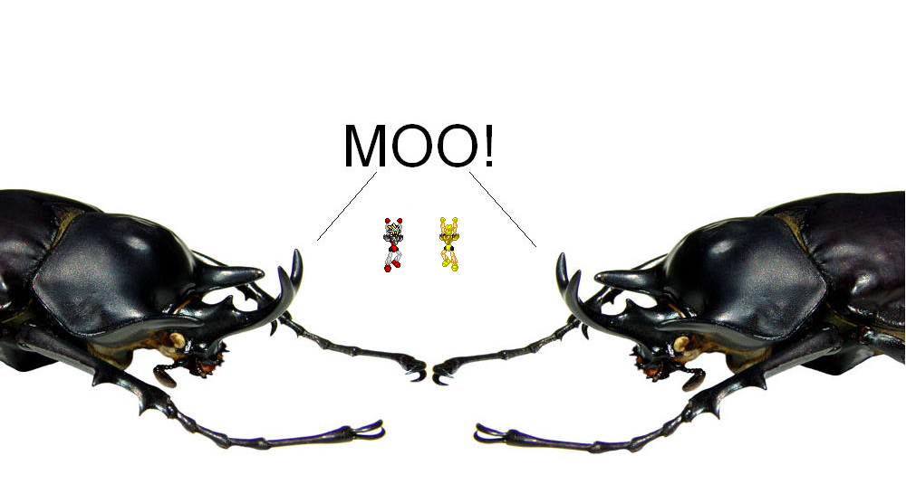 scarab_moo.png